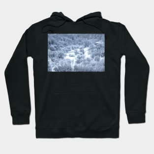 Narnia Too Hoodie